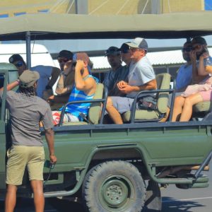 Chobe National Park Day Trip