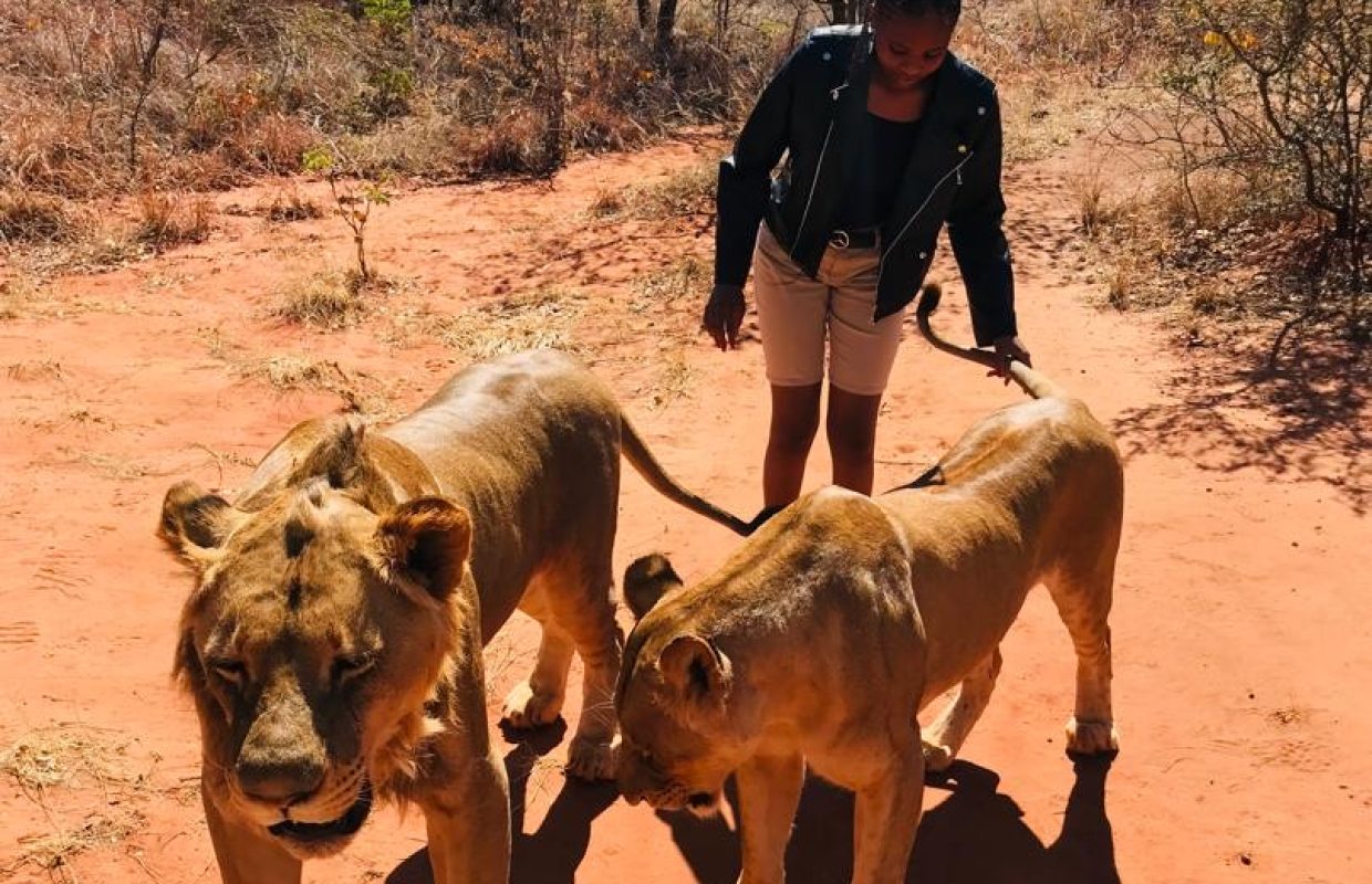 46090d7b-7142-4b91-8a86-f28eac2a9ca9