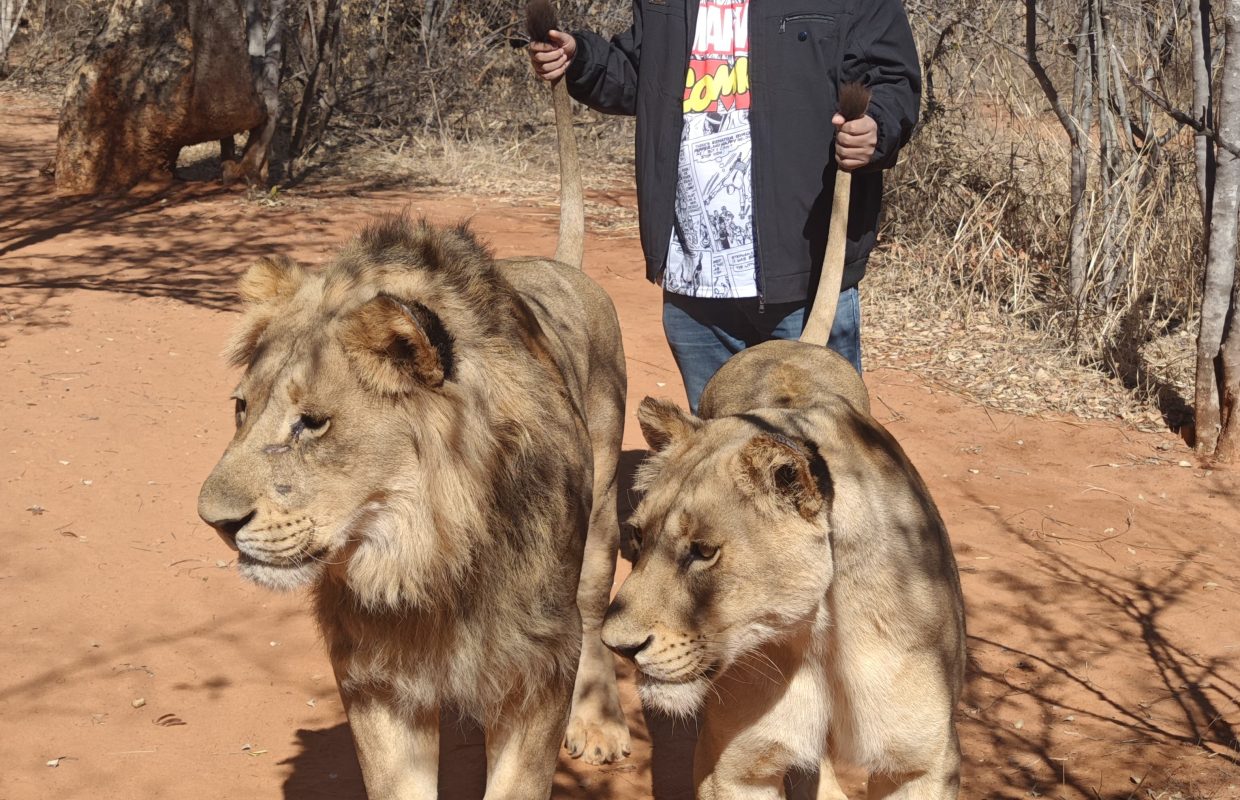 WhatsApp Image 2025-08-08 at 19.32.06_8ebab058